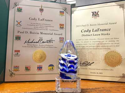distinct-award disting-award